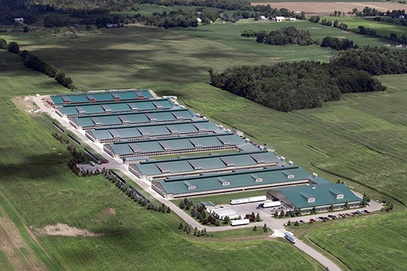 江蘇船舶プラットフォーム株式会社