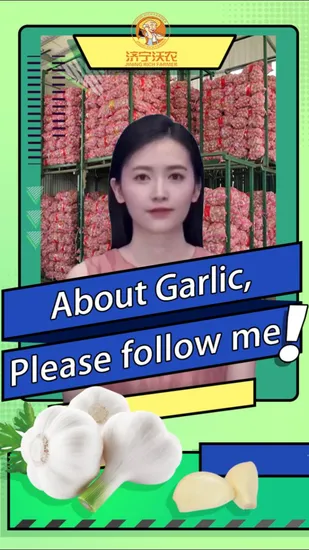 6-14m 200kg Portable Hydraulic Mobile Double Mast Aerial Work Platform